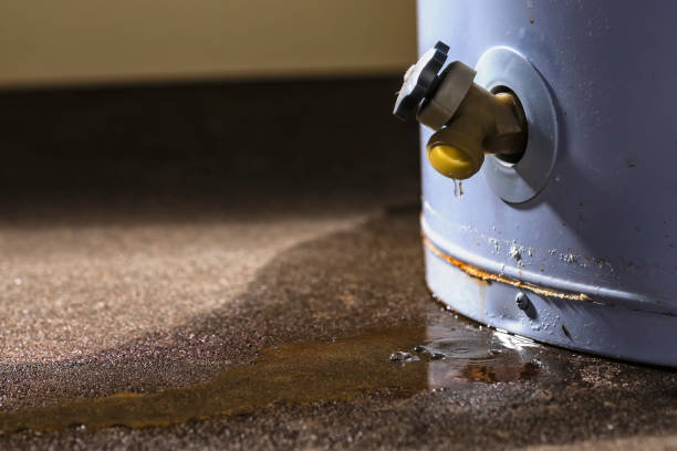 Best Emergency water damage restoration  in Cedar Heights, MD