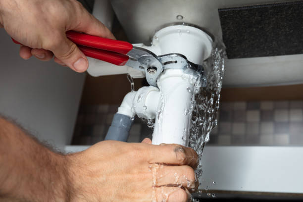 Best Flooded house restoration  in Cedar Heights, MD