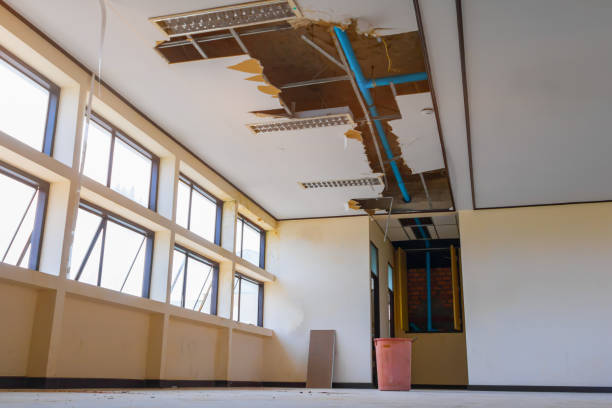 Best 24-hour water damage restoration  in Cedar Heights, MD