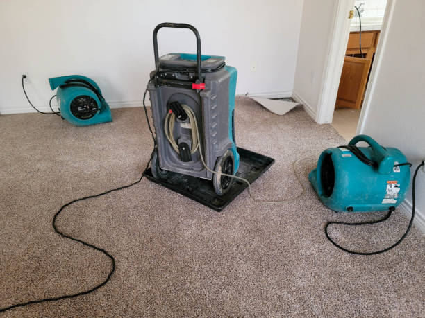 Best Carpet water damage restoration  in Cedar Heights, MD
