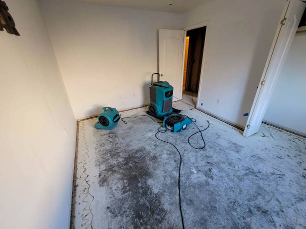 Best Mold removal after water damage  in Cedar Heights, MD