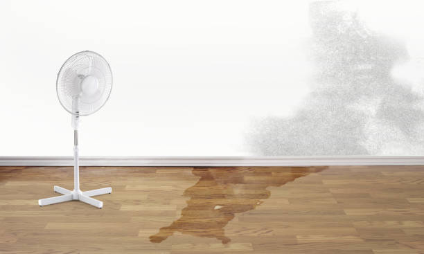 Best Flood restoration services  in Cedar Heights, MD