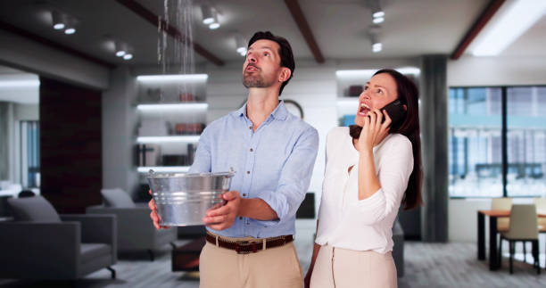 Best Sewage cleanup and water damage restoration  in Cedar Heights, MD